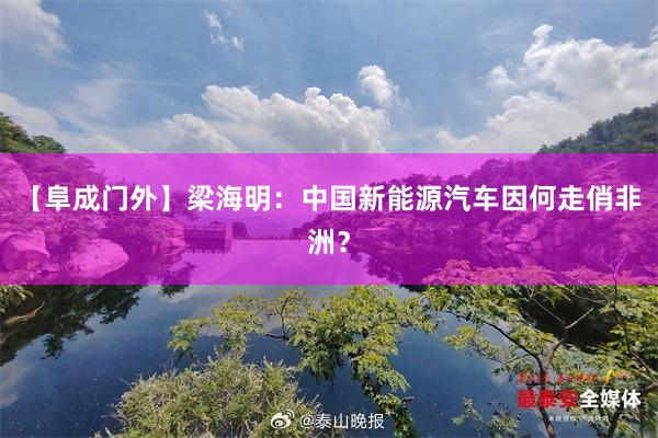 【阜成门外】梁海明：中国新能源汽车因何走俏非洲？