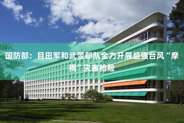 国防部：目田军和武警部队全力开展超强台风“摩羯”灾害抢险