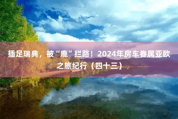 插足瑞典，被“鹿”拦路！2024年房车眷属亚欧之旅纪行（四十三）