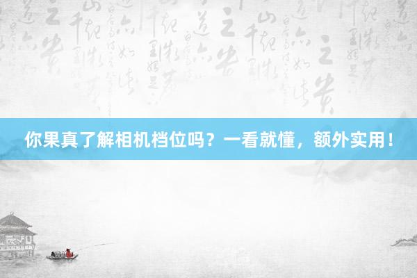 你果真了解相机档位吗？一看就懂，额外实用！