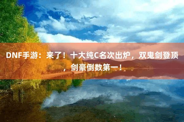 DNF手游：来了！十大纯C名次出炉，双鬼剑登顶，剑豪倒数第一！
