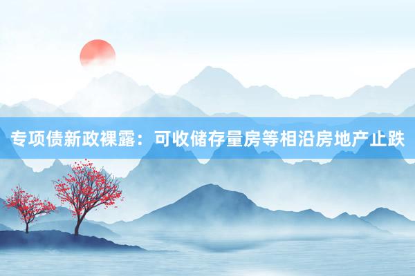 专项债新政裸露：可收储存量房等相沿房地产止跌