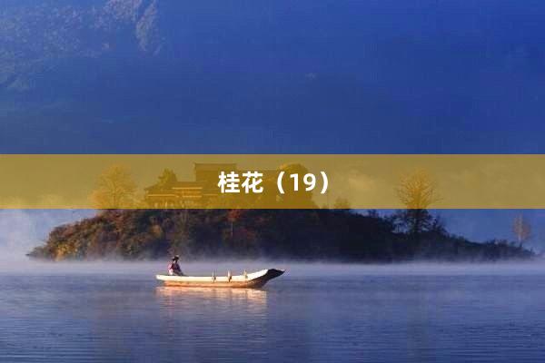 桂花（19）