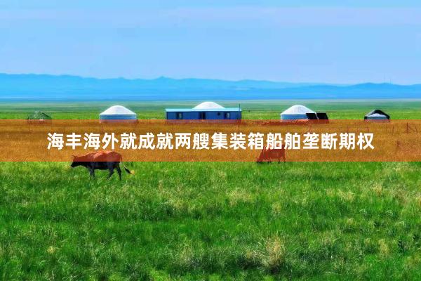 海丰海外就成就两艘集装箱船舶垄断期权