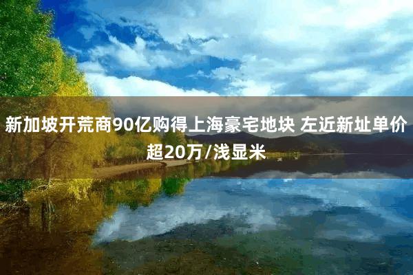 新加坡开荒商90亿购得上海豪宅地块 左近新址单价超20万/浅显米