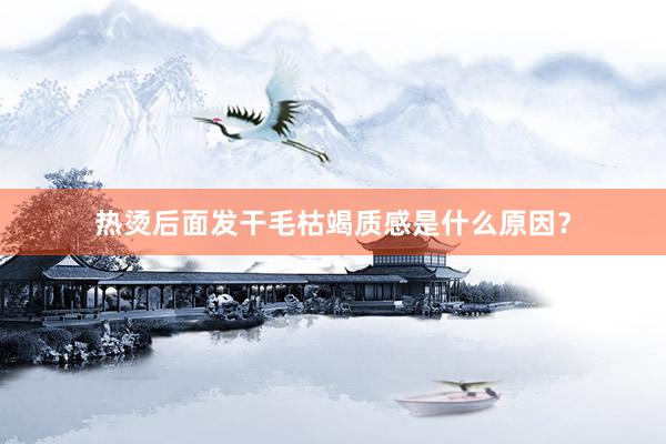热烫后面发干毛枯竭质感是什么原因？