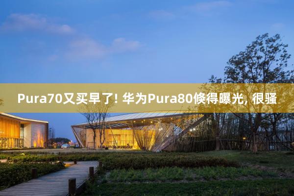 Pura70又买早了! 华为Pura80倏得曝光, 很骚