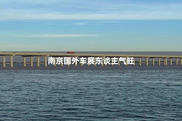 南京国外车展东谈主气旺