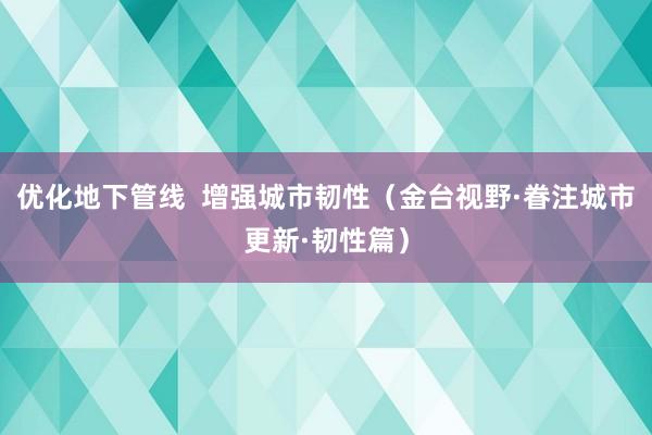 优化地下管线  增强城市韧性（金台视野·眷注城市更新·韧性篇）